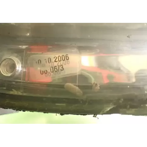 89032402 фара передняя Citroen C1 2006